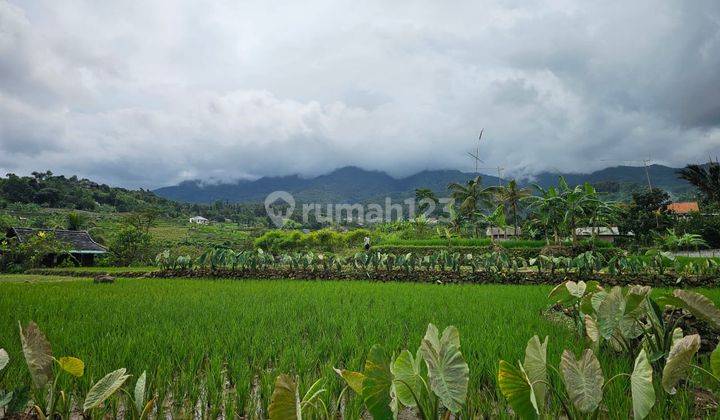 Jual Tanah di Gunung Bunder nempel Sungai view Gunung Salak 1