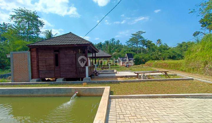 Jual Kavling Villa Bonus Gazebo dan Bibit Ikan Lele 480 Jutaan 1