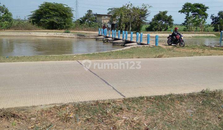 Tanah Sawah Subang Dekat Pelabuhan Internasional 1