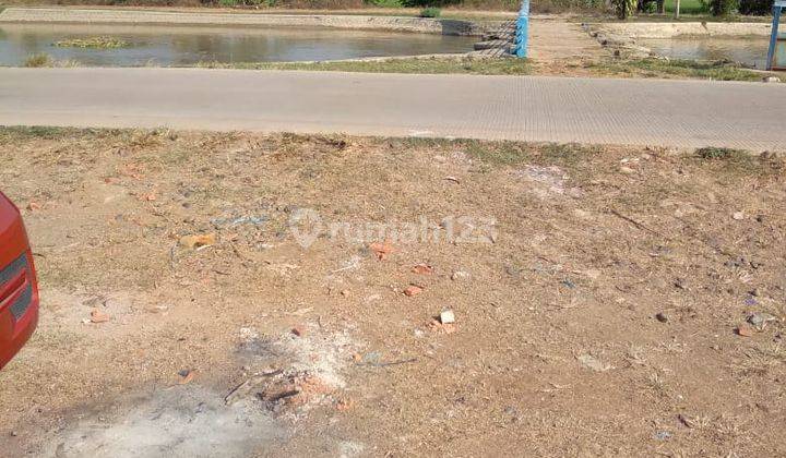 Tanah Sawah Subang Dekat Pelabuhan Internasional 2