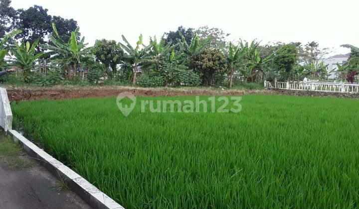 Tanah Murah Margahayu Metro Cocok Untuk Cluster Tanah Murah Margahayu Metro Cocok Untuk Cluster