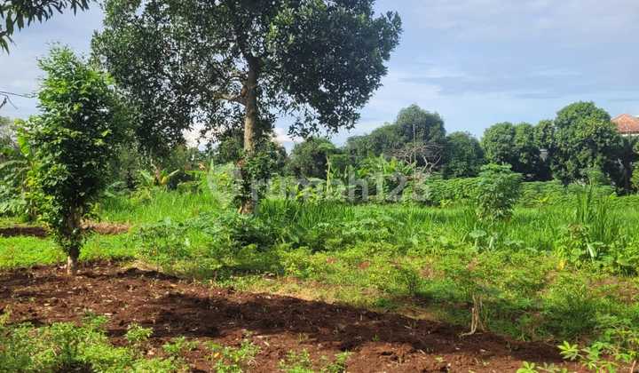 Land for Sale in Mertilang Bintaro Sector 9 Land for Sale in Mertilang Bintaro Sector 9