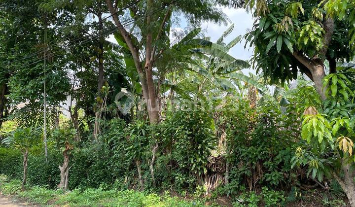 Dijual tanah 2 Kaveling Siap Bangun di Cinere Dijual tanah 2 Kaveling Siap Bangun di Cinere