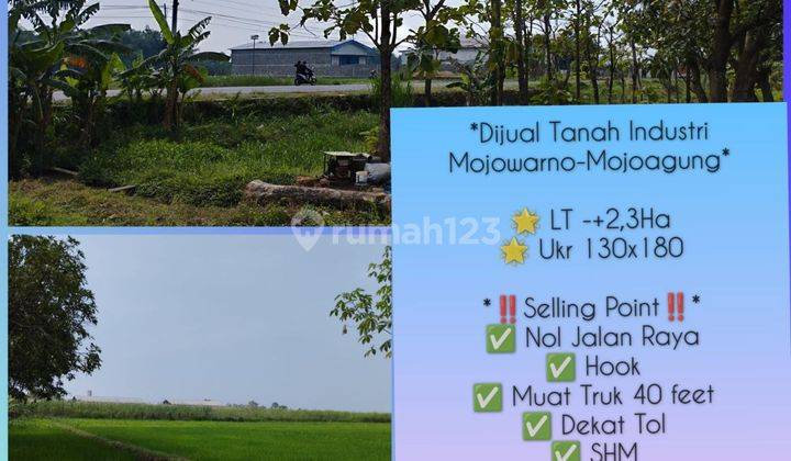 Dijual Tanah Industri Blawen Kec. Mojowarno, Mojoagung, Jombang 1