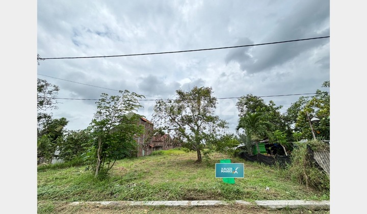 Land Area Opposite Greenland Housing Estate for Sale Land Area Opposite Greenland Housing Estate for Sale