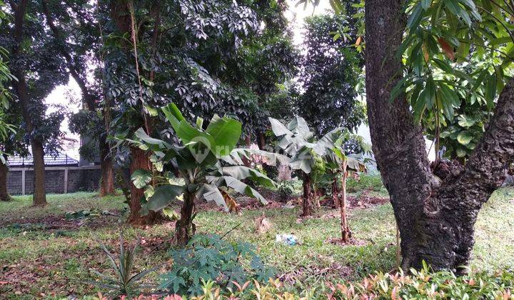 Kav 700m2 Pingguin Sektor 3 Bintaro 4