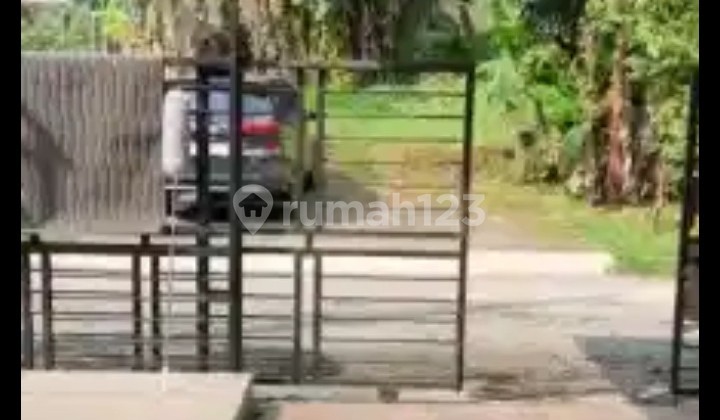 Catalina Gading Serpong Exclusive Single-Story House 2