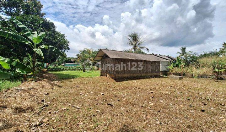 Tanah Murah Hanya 600 Ribu Permeter Nego Cocok Untuk Cluster Di Rancabungur Bogor 2