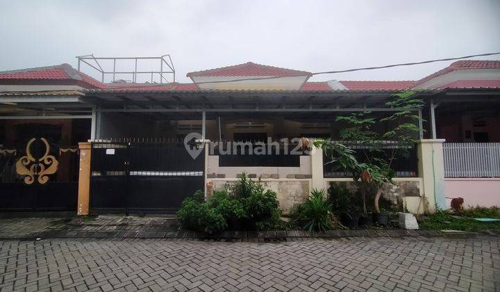 Bukit Palma, Belakang Sekolah Citra Berkat 1