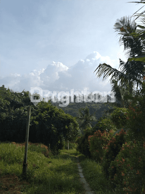 DIJUAL TANAH VIEW SAWAH & SUNGAI DI SUKAWATI GIANYAR - BALI 1