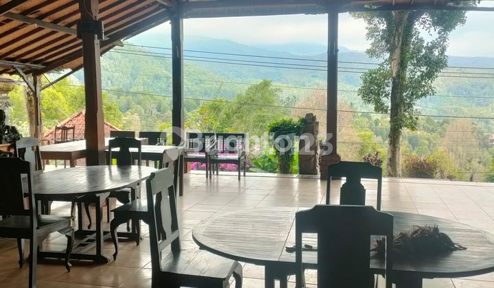 For sale Bungalow with a breathtaking panoramic view in Munduk Buleleng - Bali