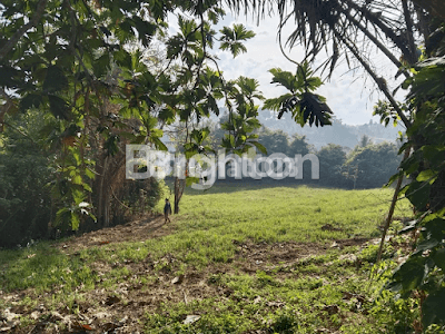 DIJUAL TANAH VIEW SAWAH & SUNGAI DI SUKAWATI GIANYAR - BALI 2