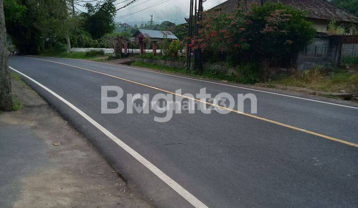 TANAH LOKASI STRATEGIS DEKAT JALAN UTAMA BEDUGUL  1