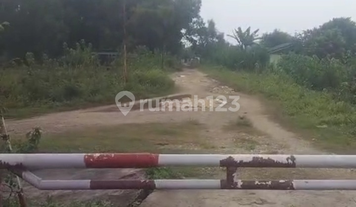 Dijual Cepat Lahan 24 Ha Satu Pemilik Pribadi Di Bojong Kelapa Nunggal Gunung Putri Bogor Dijual Cepat Lahan 24 Ha Satu Pemilik Pribadi Di Bojong Kelapa Nunggal Gunung Putri Bogor