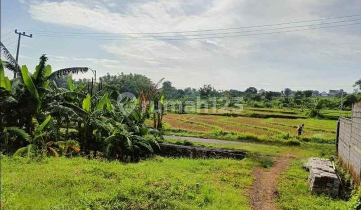 Tanah Raya Prigen Depan Aquase STRATEGIS NOL JALAN
