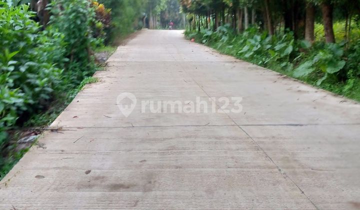 For Sale: Affordable Land in Ciseeng, Bogor, Area 4732m2..Single Name Certificate of Ownership..Price 450 Thousand Per M2.