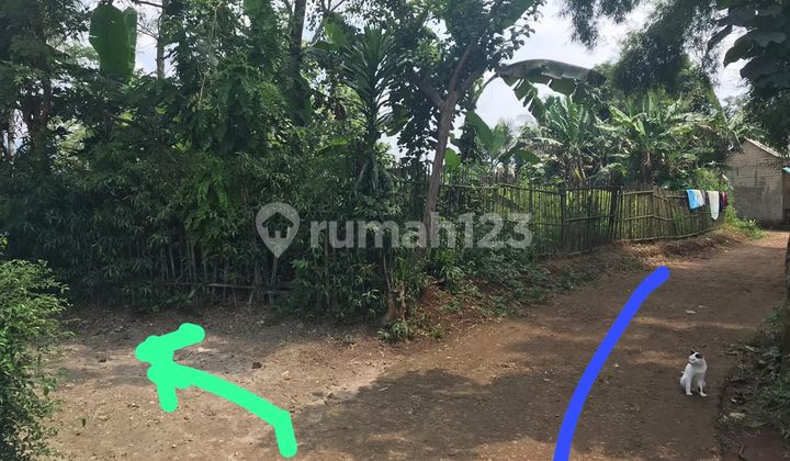 For Sale: Affordable Land in Ciseeng, Bogor, Area 4732m2..Single Name Certificate of Ownership..Price 450 Thousand Per M2.