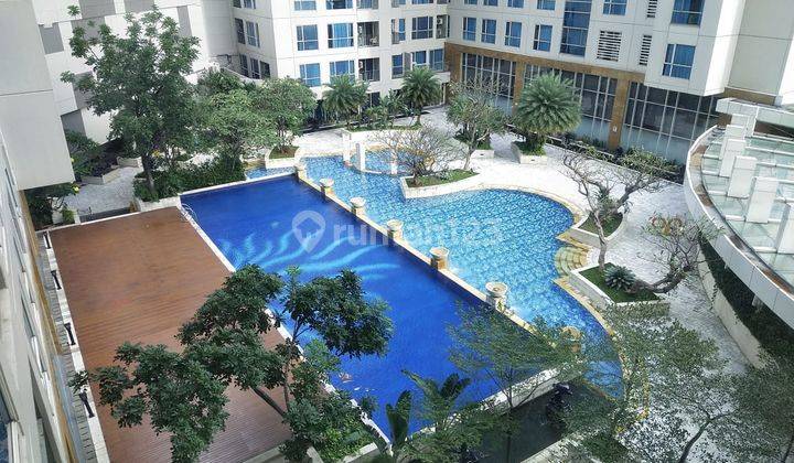 Apartment Connect Mall 1 BR Paling Besar 56m2 Dan Paling Bagus Sangat Terawat di Casa Grande Kokas,  Apartment