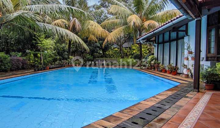 Rumah hunian Asri nuansa villa Jakarta Selatan 