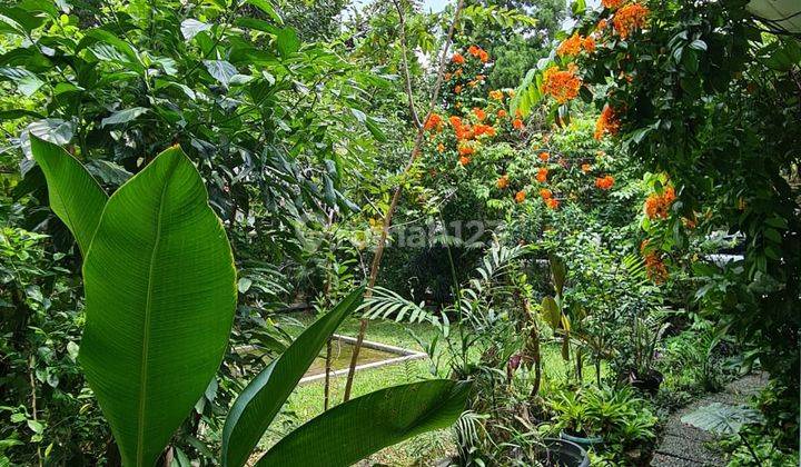 Rumah di Kemang Jakarta Selatan  2