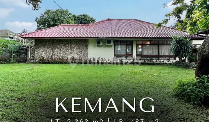 Rumah Halaman Luas Terletak Di Jalan Raya Kemang Rumah Halaman Luas Terletak Di Jalan Raya Kemang