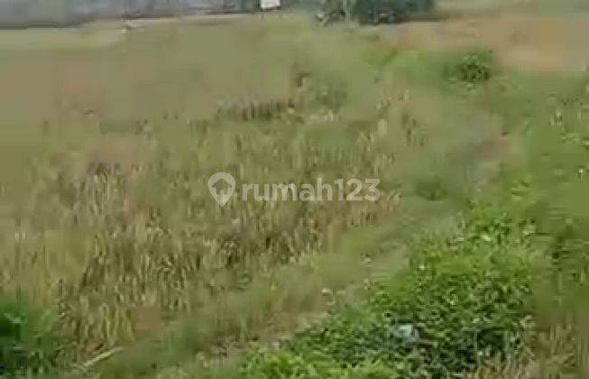 Jual tanah sawah cocok buat perumahan  di tangerang 1