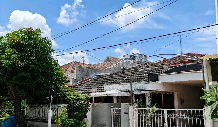 Jual Rumah Hitung Tanah Darmo Baru Barat Hadap Timur Shm Murah 1