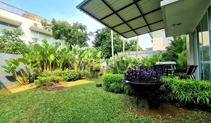 Spacious Homy House in Cajuputi De Park Cluster - BSD City