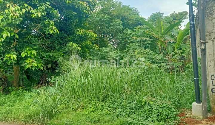 Cheap And Rarely Available Plots in Dangdang Cisauk Tangerang Area Cheap And Rarely Available Plots in Dangdang Cisauk Tangerang Area