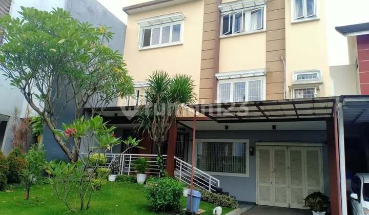 Rumah Bagus dan Rapo Lingkungan Wlit