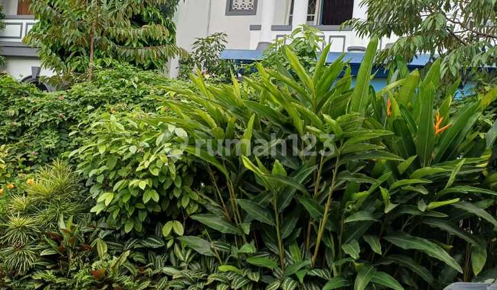 Rumah Mewah Gandeng Di Modernland Cluster Perancis 