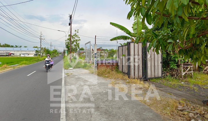 Tanah + Joglo Disewakan Jogja area Jalan Godean, cocok utk Warung Masakan Jadul, dekat Pasar Godean Tanah + Joglo Disewakan Jogja area Jalan Godean, cocok utk Warung Masakan Jadul, dekat Pasar Godean