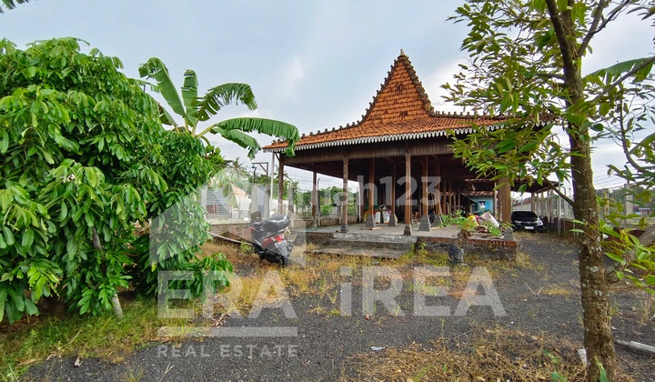 Tanah + Joglo Disewakan Jogja area Jalan Godean, cocok utk Warung Masakan Jadul, dekat Pasar Godean Tanah + Joglo Disewakan Jogja area Jalan Godean, cocok utk Warung Masakan Jadul, dekat Pasar Godean