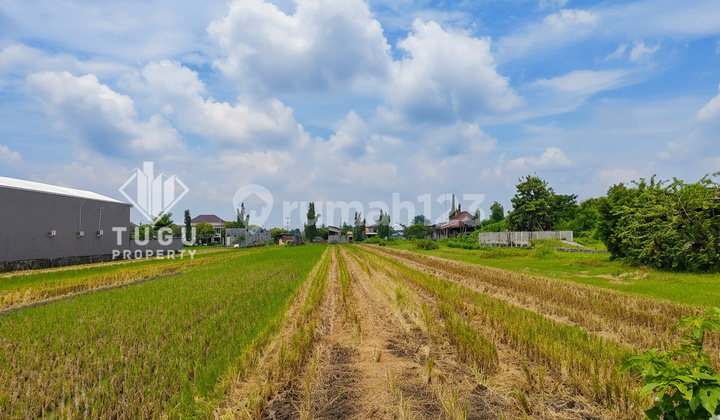 Tanah Dijual Jogja, Dekat Swalayan Manna Kampus, Universitas Alma Atta dan Umy Gamping, Sekolah Negeri Sman 1 Tirtonirmolo, Sman 1 Teladan, Kasongan Gerabah, Pasarlegi Patangpuluhan Bugisa