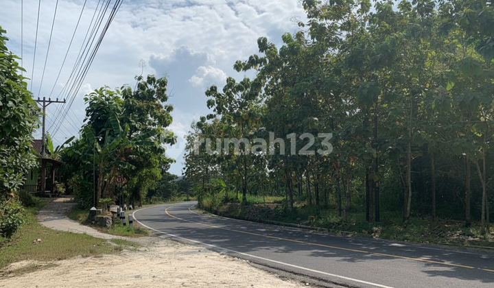 Tanah Dijual Jogja Wonosari, Dekat Heha Sky View, Pictniq Land, Bukit Bintang, De Mangol View, The Manglung View & Resto