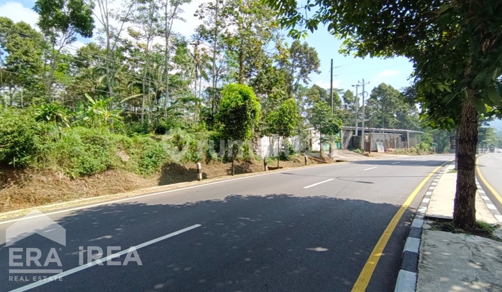 Dijual Tanah Pekarangan Zona Merah / Industri Salatiga