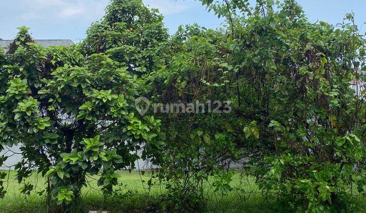 Jual Cepat Tanah 240m Kotak Badan di Sutera Magnolia Alam Sutera 2