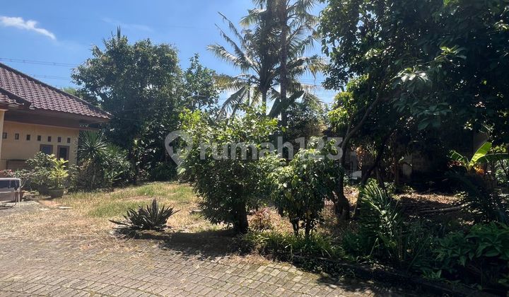 For Quick Sale! Central BSD Plot Suitable for Investment