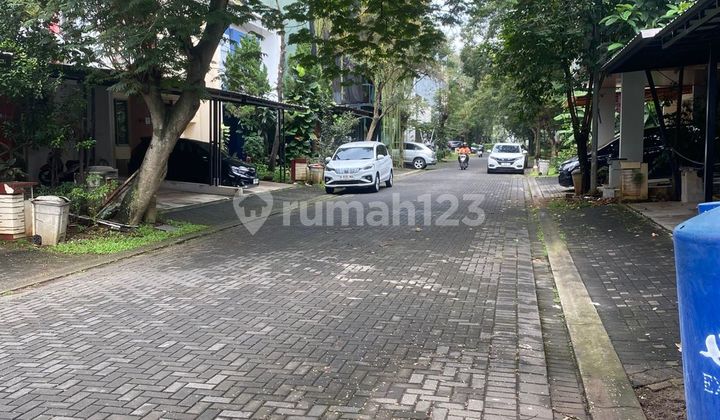 Jarang Ada ! Rumah Kost BSD Foresta Naturale Langsung Dapat Sewa! 2