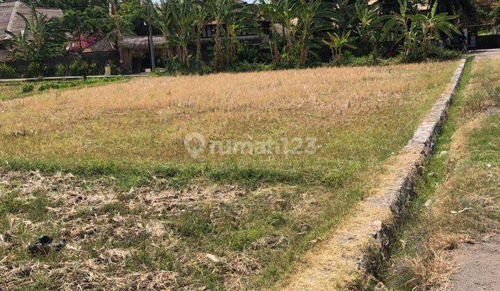 1 min to the beach, land for sale in Lovina 1