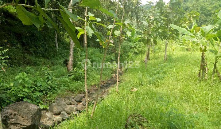 400 M2 SUPER CHEAP LAND FOR SALE IN LOVINA 2