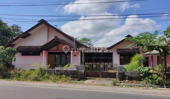 Disewakan Rumah Full Bangunan 1