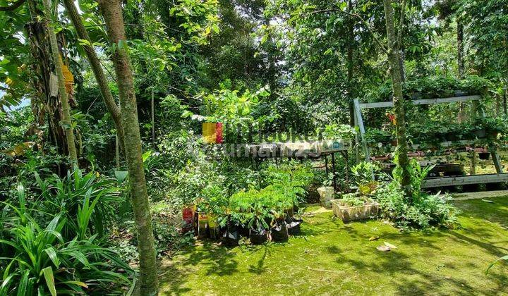 Tanah Luas Siap Bangun di Limbangan Kendal 5