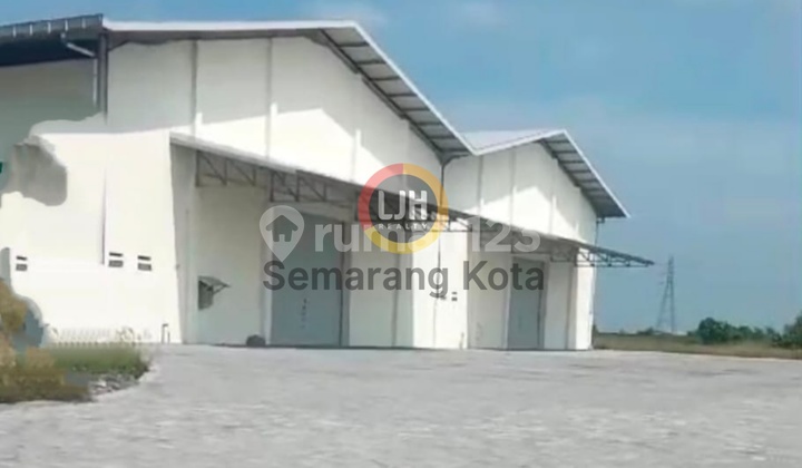 Warehouse in Sayung Warehouse in Sayung