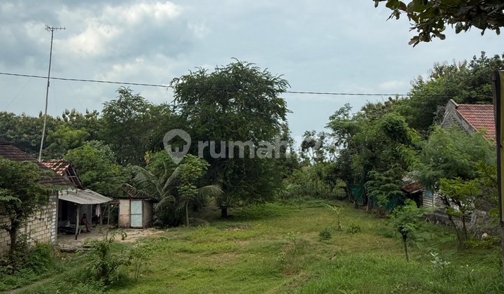 Dijual Tanah Strategis - Tuban (Pantura)