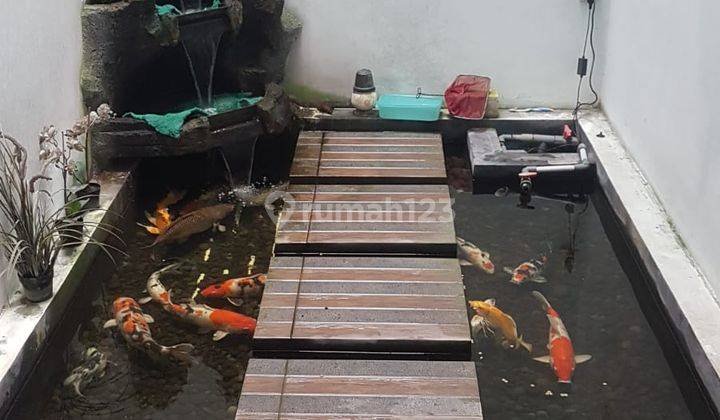Rumah baru renov di taman surya kamar 5 ada kolam ikan bagus 5