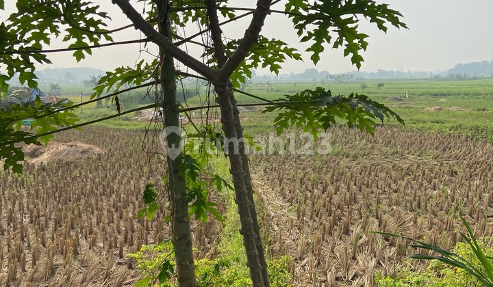 Kavling Pinggir Jalan Propinsi Jonggol, Jawa Barat Siap Bangun Pabrik Anda