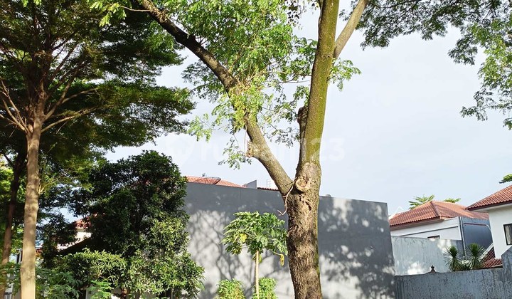 Termurah!! Dijual Kavling Hoek Murni Luas 553m Dalam Cluster Premium Di Alam Sutera Mk56 Termurah!! Dijual Kavling Hoek Murni Luas 553m Dalam Cluster Premium Di Alam Sutera Mk56