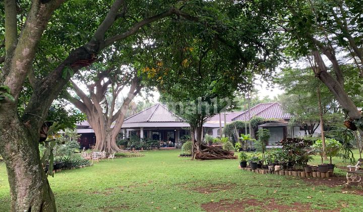 Dijual Rumah Mewah Cilandak Timur - Jakarta Selatan