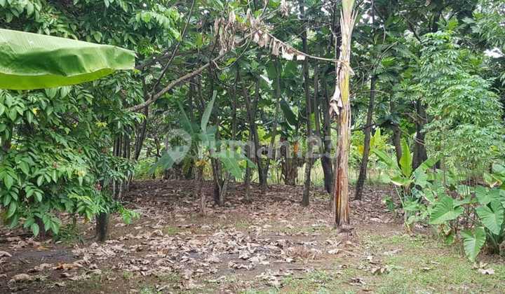 Jual Tanah Cirendeu Samping Komplek Bali View Tangsel Jual Tanah Cirendeu Samping Komplek Bali View Tangsel